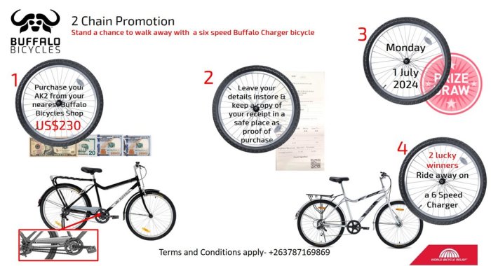 Buffalo-bikes-2-chain-promo-Zimtrader-email-advertising