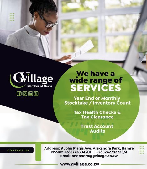 GVillage-for-all-accounting-and-audit-services-Zimtrader-email-advertising