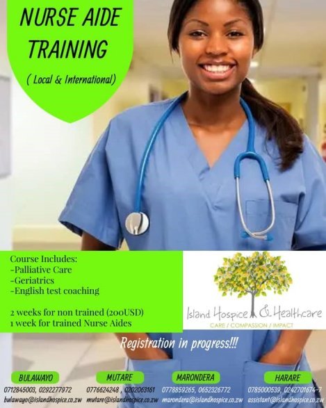 Island-Hospice-nurse-aid-training-zimtrader-email-advertising