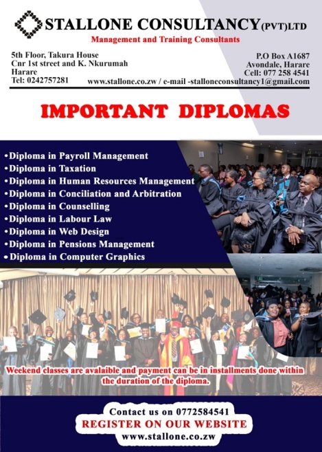 Stallone-diplomas-2024-Zimtrader-email-advertising