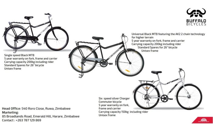 buffalo-bikes-2024-Zimtrader-email-advertising