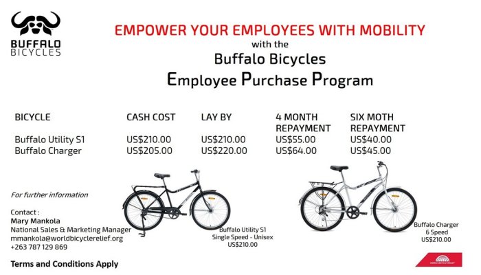 buffalo-bikes-empower-your-employees-Zimtrader-email-advertising