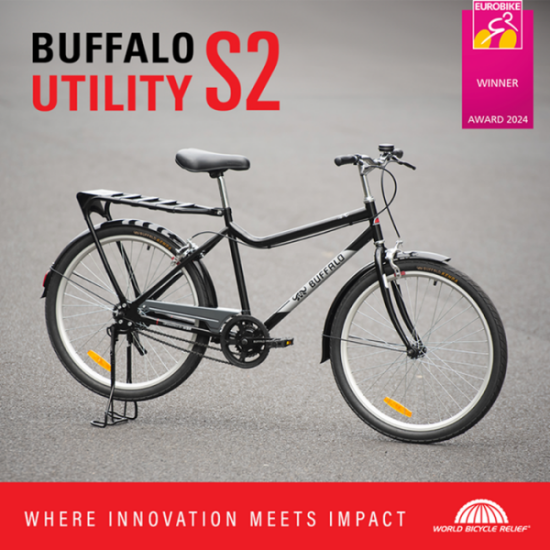 buffalo-bikes-utility-S2-Zimtrader-email-advertising