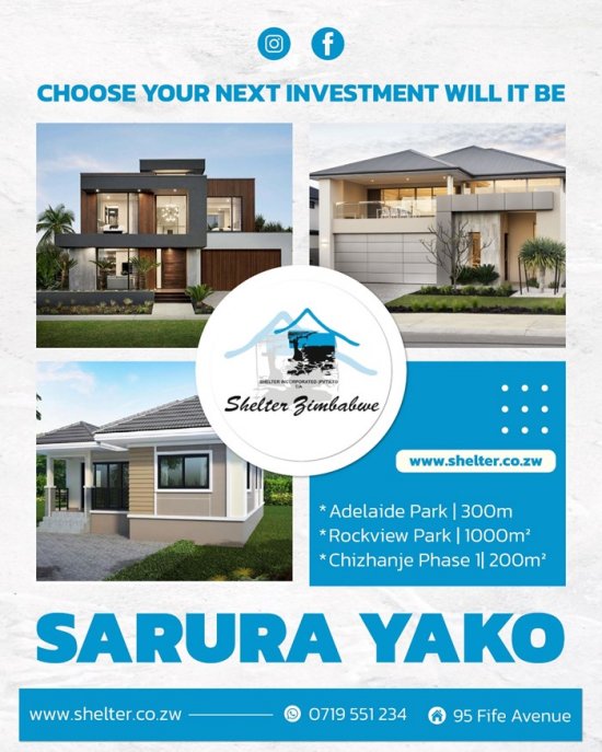 dreams-come-true-with-shelter-zim-Zimtrader-email-advertising