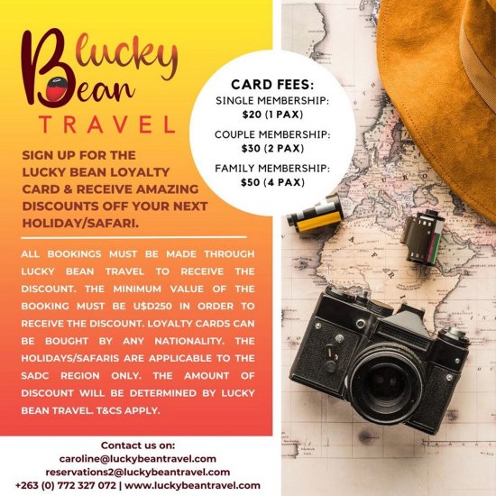 lucky-bean-travel-loyalty-card-Zimtrader-email-advertising