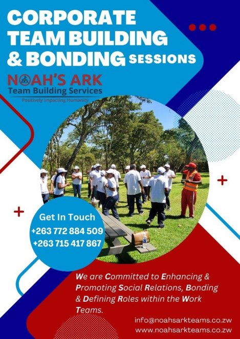 noahs-ark-corporate-team-building-and-bonding-Zimtrader-email-advertising