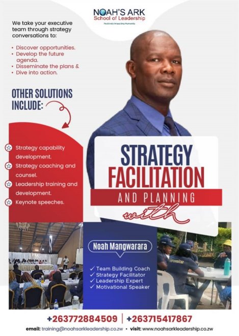 noahs-ark-strategy-and-facilitation-Zimtrader-email-advertising