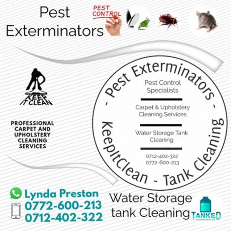 pest-extermination-and-cleaning-Zimtrader-email-advertising