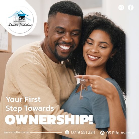 shelter-zim-your-first-step-towards-ownership-Zimtrader-email-advertising