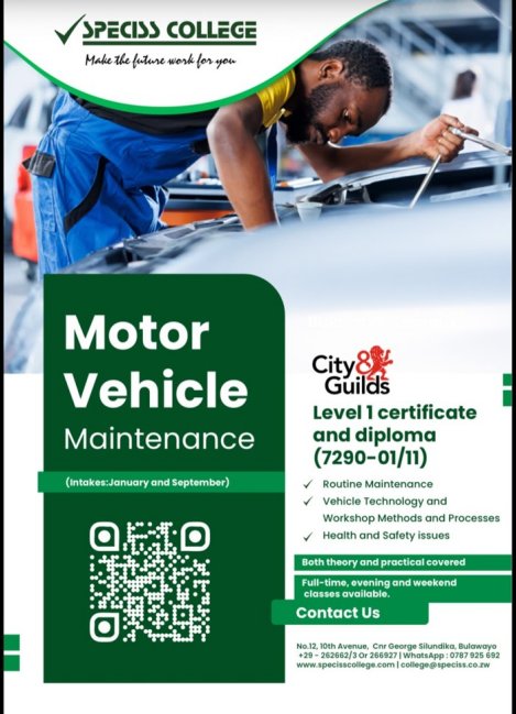 Speciss-college-city-and-guilds-motor-vehicle-maintenance-Zimtrader-email-advertising
