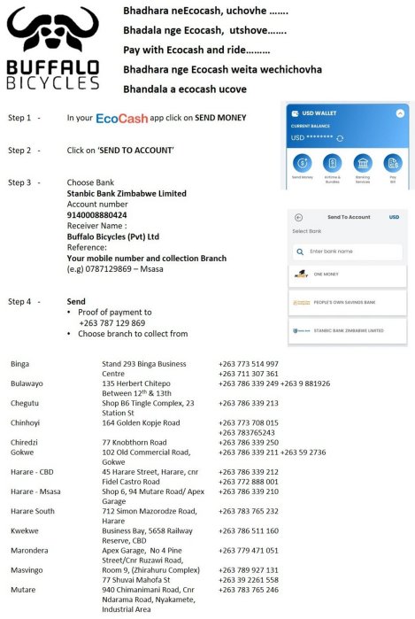 buffalo-bikes-now-take-ecocash-Zimtrader-email-advertising